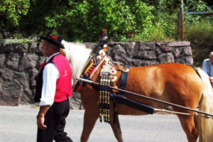 Cavallo tipico con decorazioni festive con accompagnatore